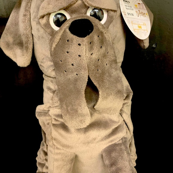 Warner Bros. Other - Hagrids pet Fang. Just to let you know he’s a big coward.